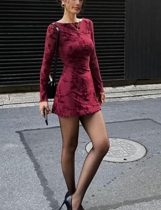 Mesh Round Neck Long Sleeved Dress