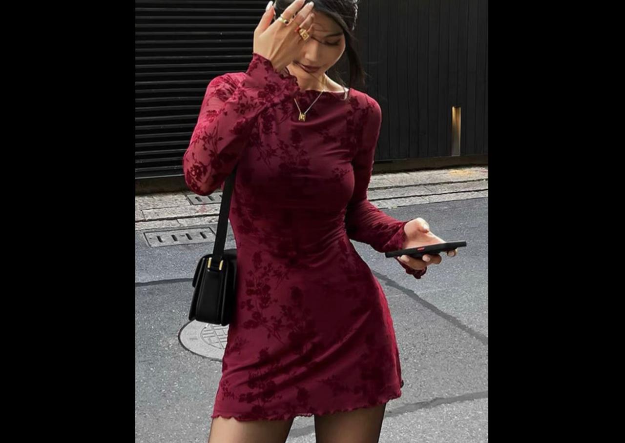 Mesh Round Neck Long Sleeved Dress